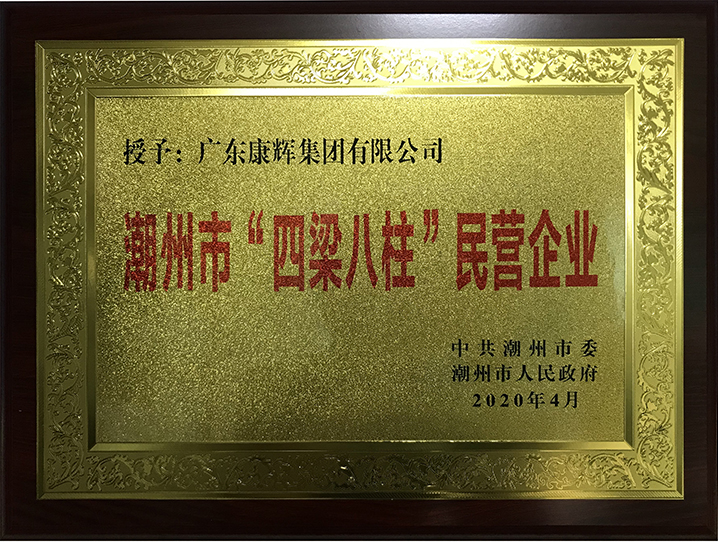 潮州市 “四梁八柱”民營企業