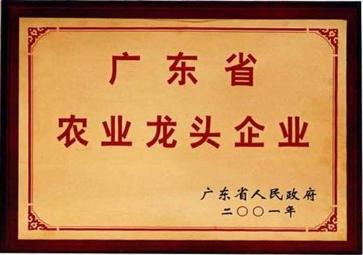 2001-2021年廣東省龍頭企業